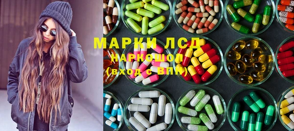 ПСИЛОЦИБИНОВЫЕ ГРИБЫ Арсеньев