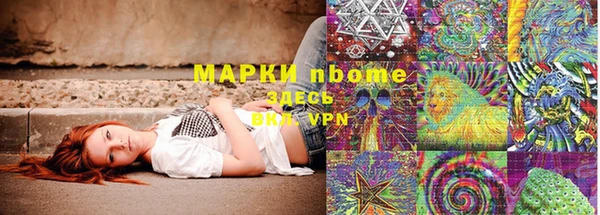 ПСИЛОЦИБИНОВЫЕ ГРИБЫ Арсеньев