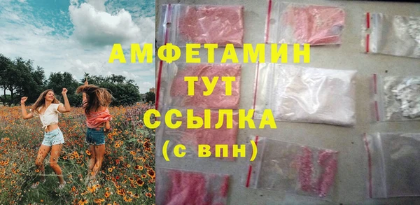 ПСИЛОЦИБИНОВЫЕ ГРИБЫ Арсеньев