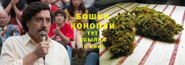 ПСИЛОЦИБИНОВЫЕ ГРИБЫ Арсеньев