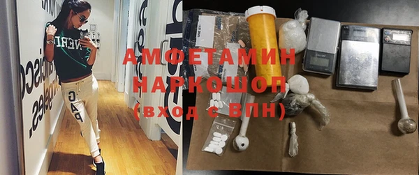 ПСИЛОЦИБИНОВЫЕ ГРИБЫ Арсеньев