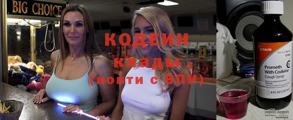 ПСИЛОЦИБИНОВЫЕ ГРИБЫ Арсеньев