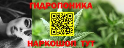 spice Кунгур