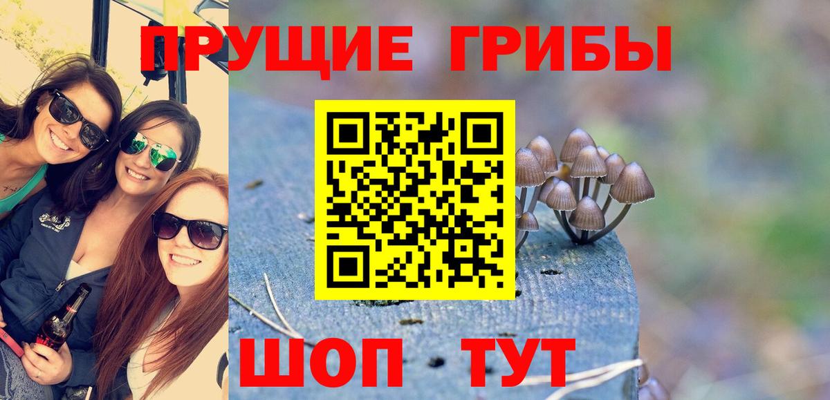 Псилоцибиновые грибы мицелий Губкин