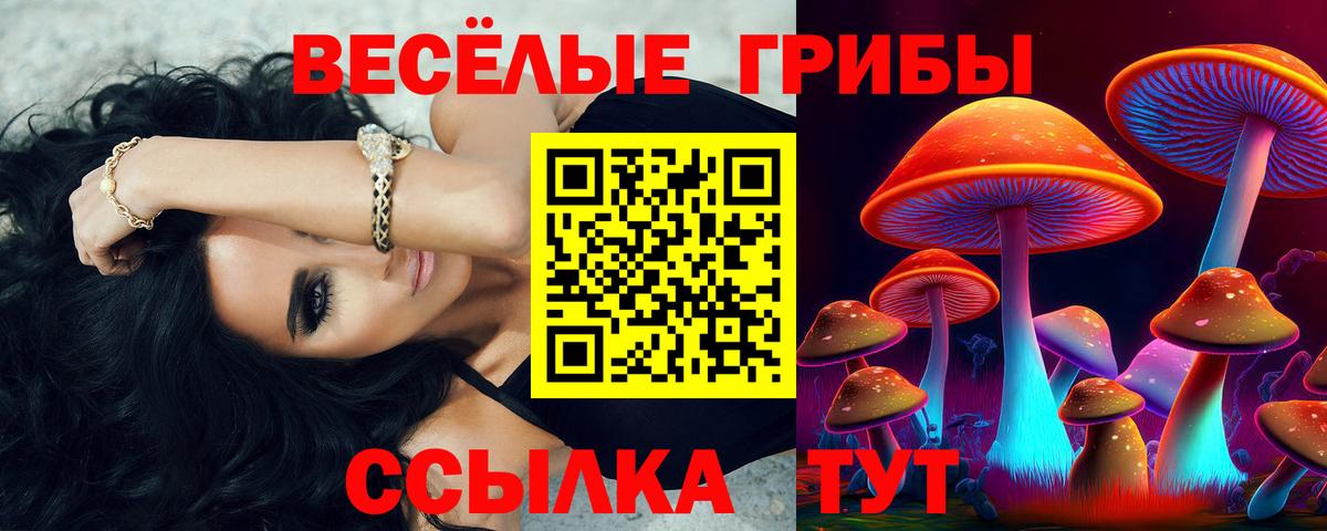 Губкин  Галлюциногенные грибы ЛСД  Вход с VPN  Галлюциногенные грибы мицелий 