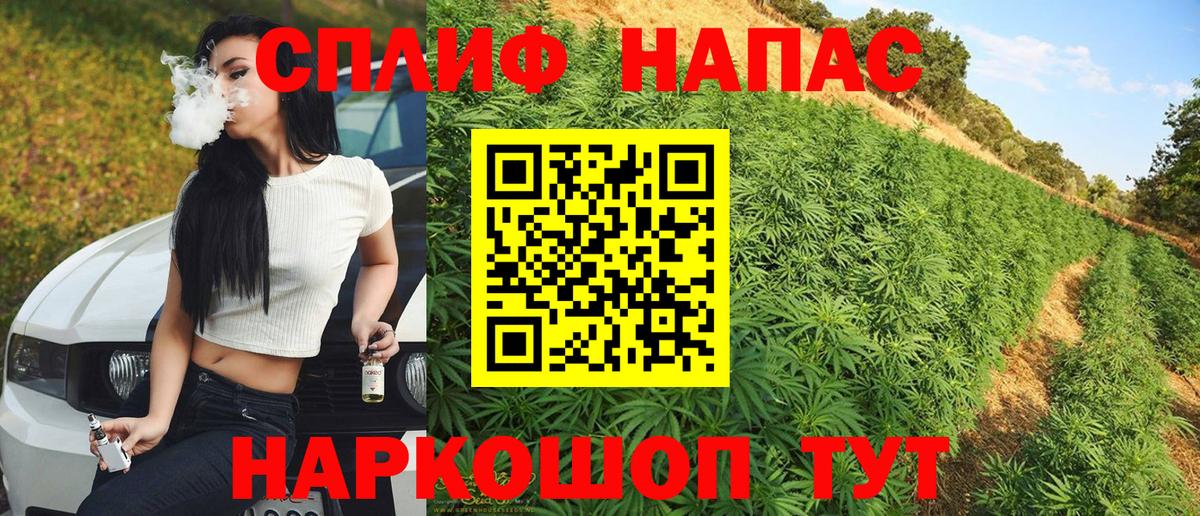 Бошки Шишки LSD WEED  Вход с VPN  МАРИХУАНА план  Губкин  Канабис марихуана  Шишки марихуана THC 21% 